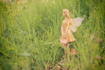 image of magical little fairy in the forest.