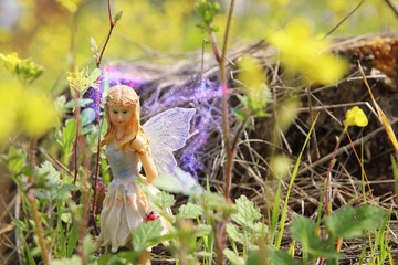 image of magical little fairy in the forest.