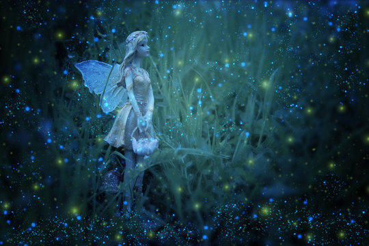 Fototapeta image of magical little fairy in the night forest.