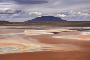Fototapeta na wymiar Laguna Colorada, Altiplano, Bolivia