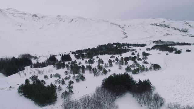 Aerial shot during winter flying over a snow covered forest. Hills in the background, pristine nature landscape. Cold and overcast day.