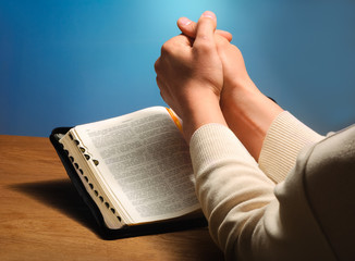 The Bible of the hand