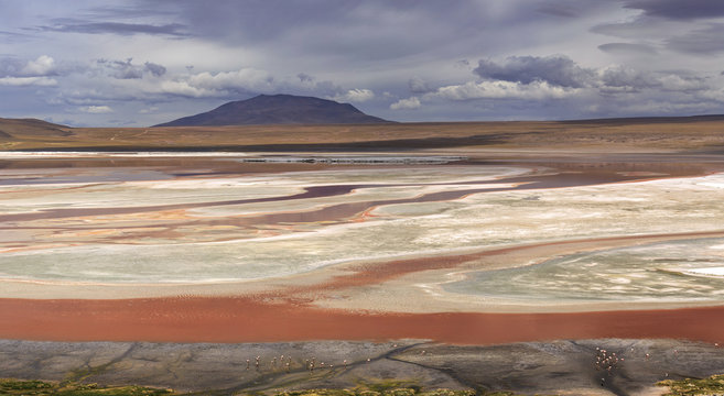 Laguna Colorada, Altiplano, Bolivia