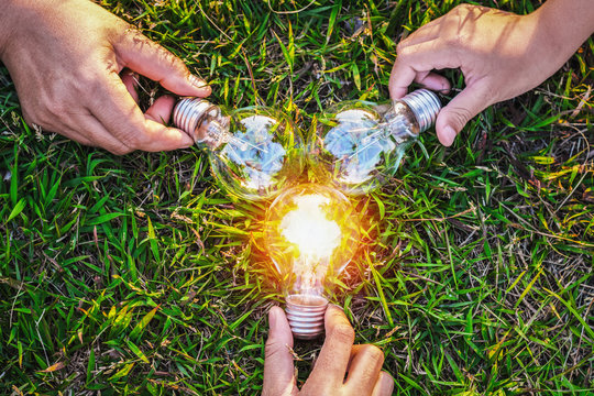 group hand holding lightbulb with sunset on grass. concept idea solar energy