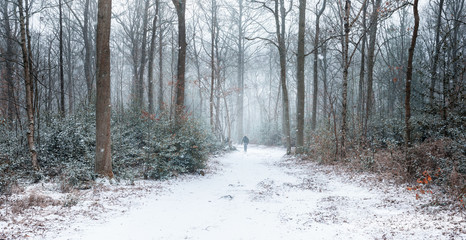 Hiker walking through snow covered winter forest