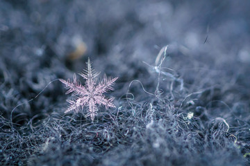 Beautiful detail of a snowflake, a single ice crystal in Paris winter, falls through the Earth's atmosphere as snow. Shining hexagonal crystals shape, used as a symbol of snow or crystal in science