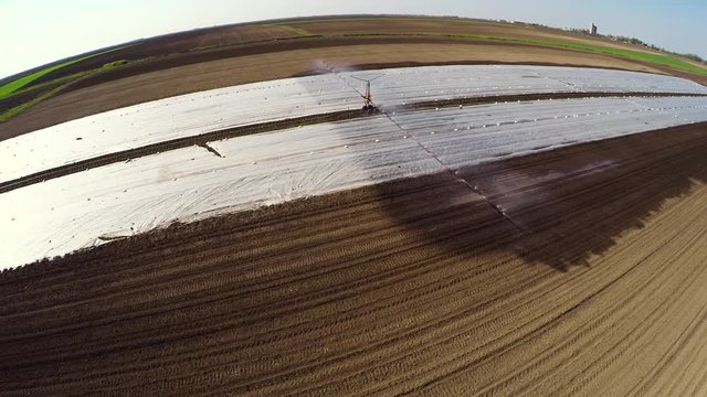 Aerial footage of cabbage field with thermo foil during irrigation.