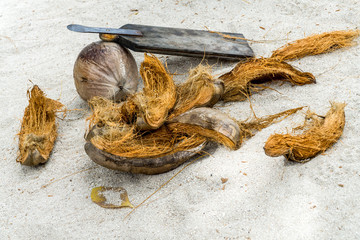Travel and holiday photos on an island near Tahiti. Cultural show demonstrating how to open a coconut. Coconut demonstration.