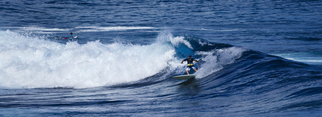 Man rides the waves in Maui, Hawaii