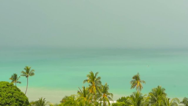 Paradise island exotic beach, tropical plants before rain swaing in the wind. Bright juicy green coconut palm trees against a tuquoise blue sea background. Ocean coast line landscape. Fairytale resort