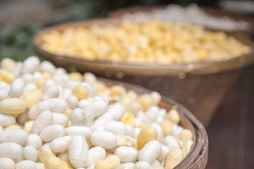 thai silk raw material