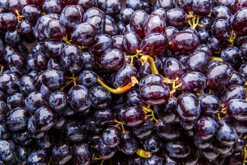 Photo on top of black grapes