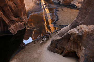 gole di archei - ennedi