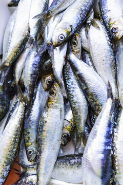 Close-up of fresh sardines placed in a basket for sale at a market stall called Do Bolhao in the center of Porto (Portugal)