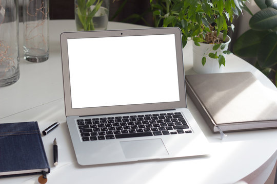 Macbook on a white desk near green plants