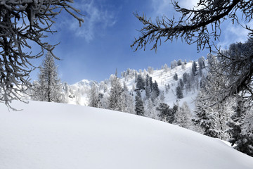 paesaggio invernale sulle alpi .