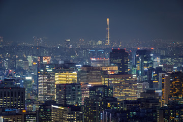 Naklejka premium Seoul skyline in the night, South Korea.
