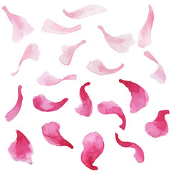 Hand drawn watercolor romantic pink sakura petals set.