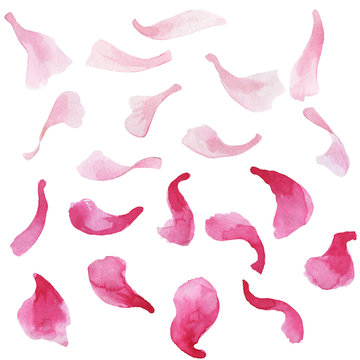 Hand drawn watercolor romantic pink sakura petals set.
