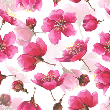 Hand drawn watercolor romantic seamless pattern with pink sakura flowers.