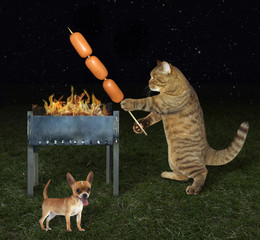 The chef cat with sausages on the barbecue wooden skewer is next to his dog. 