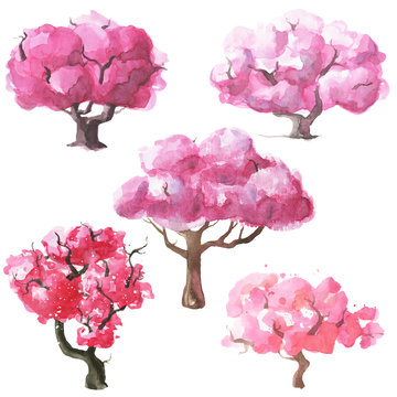 Hand drawn watercolor romantic sakura trees set.
