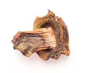 Dried mushroom.