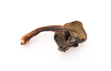 Dried mushroom.