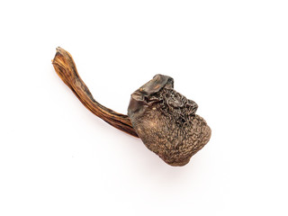 Dried mushroom.