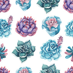 Seamless pattern with watercolor succulents on white background
