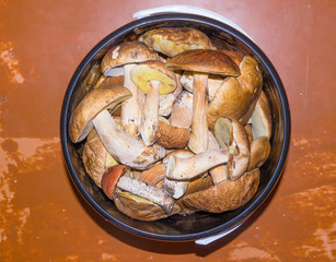 Porcini mushroom.