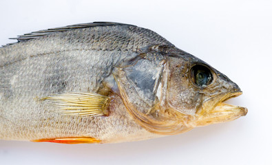 Dried Fish.