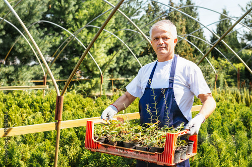 Farmer Holding Crate Of Organic Plants In Outdoor Plant Nursery Farmer Holding Crate Of Organic Plants In Outdoor Plant Nursery Small Business