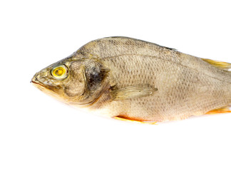 Dried Fish.