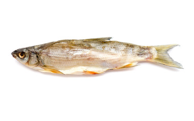 Dried Fish.