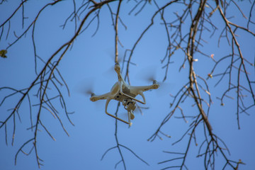 drone hover on the sky  survey in the forest