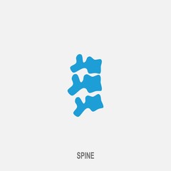 Spine vector icon. Spine diagnostics and therapy symbol