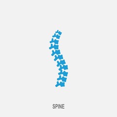 Spine vector icon. Spine diagnostics and therapy symbol