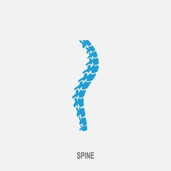 Spine vector icon. Spine diagnostics and therapy symbol