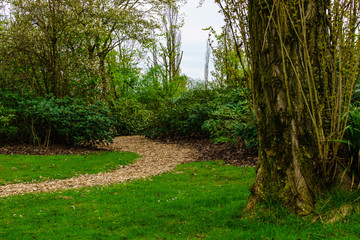 green park in gelsenkirchen nordstern