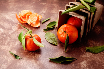 clementine im pappbecher