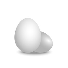 Vector 3d realistic white eggs. Isolated eggs with shadow on white background. Eggs mock up