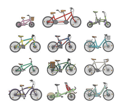 Fototapeta Big flat graphic design set of different bicycles. 