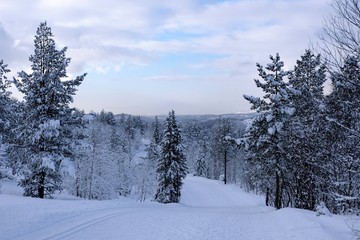Ski track in mountain