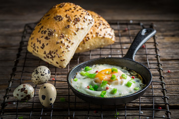 Tasty fried eggs with bun and chive