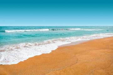 Fototapeta na wymiar Yellow sand and turquoise color waters at swimming area of sea - Jeju Island, South Korea