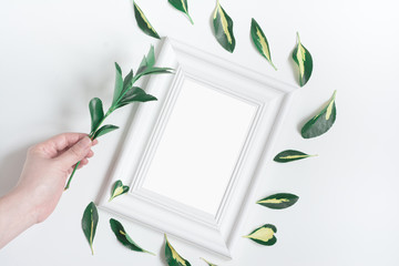 White frame backround with yellow-green leaves around and girl's hand