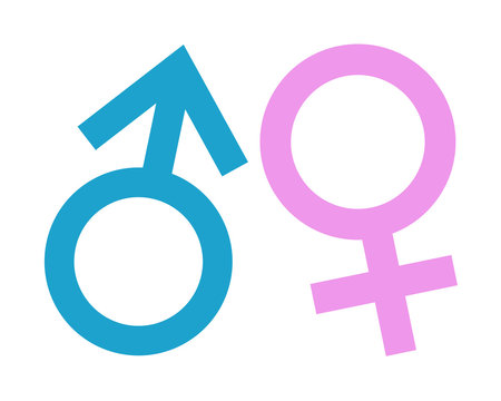 Gender symbol icon vector 