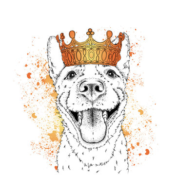 Hipster dog in crown. Vector illustration