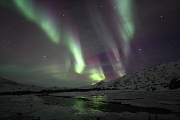 Northern lights
